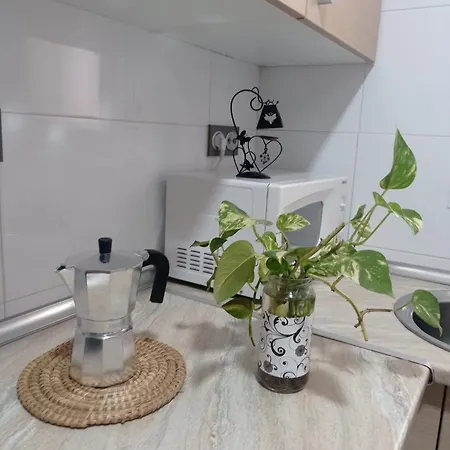 Turisticos Cinco Joyas Apartment Linares (Jaen)